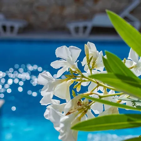 Family-friendly With Swimming Pool - 2419 公寓