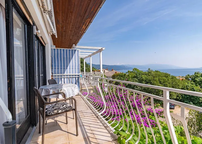 Family-friendly With Swimming Pool - 2419 * Novi Vinodolski