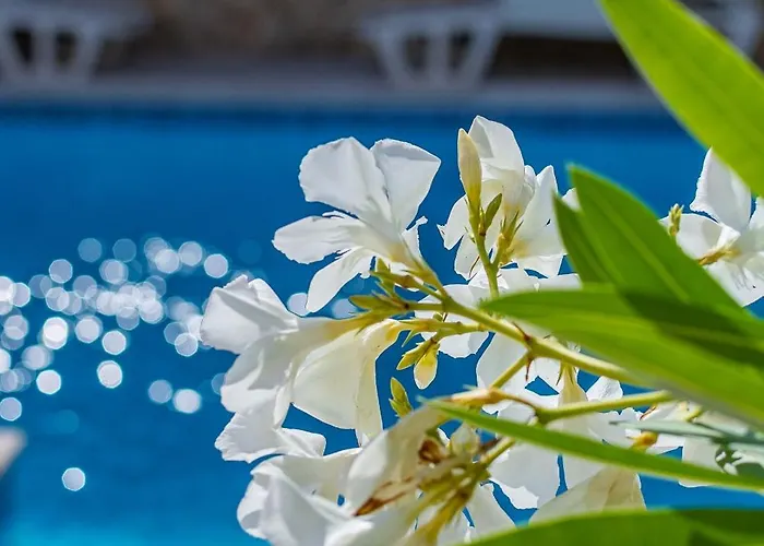 Family-friendly With Swimming Pool - 2419 Apartament